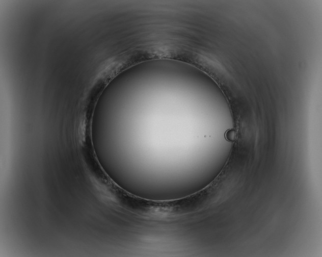 X0000088390694200705221114