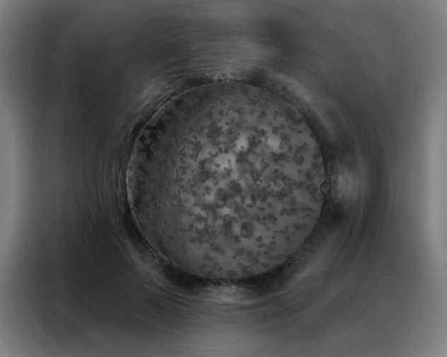 X0000088390695200705221114