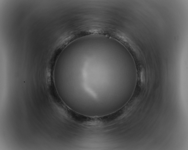 X0000088390696200705221114