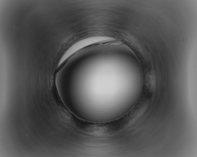 X0000088390697200705221114