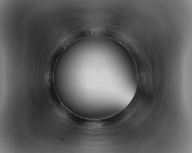 X0000088390698200705221114