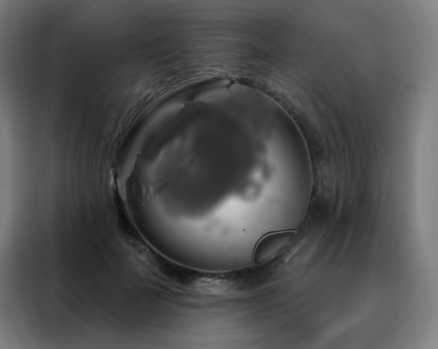 X0000088390699200705221114