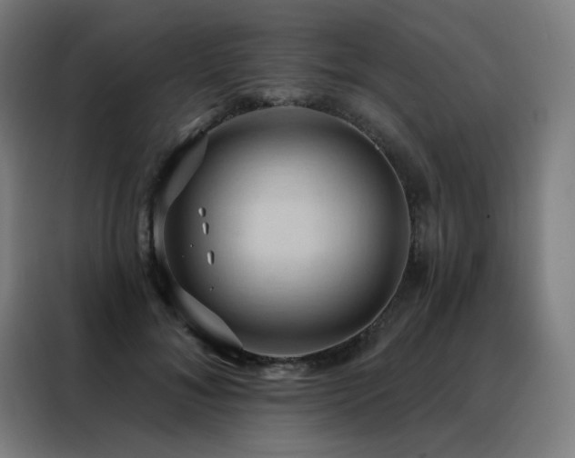 X0000088390700200705221114