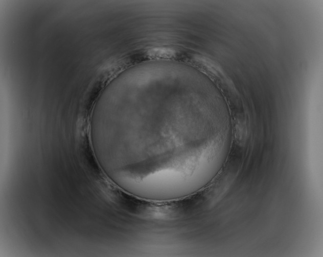 X0000088390701200705221114