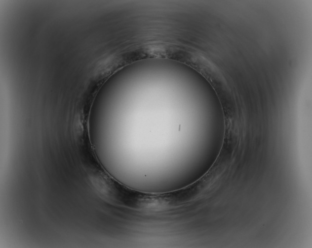 X0000088390702200705221114