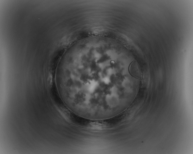 X0000088390703200705221114