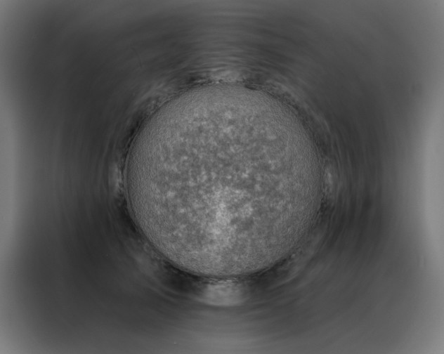 X0000088390705200705221114