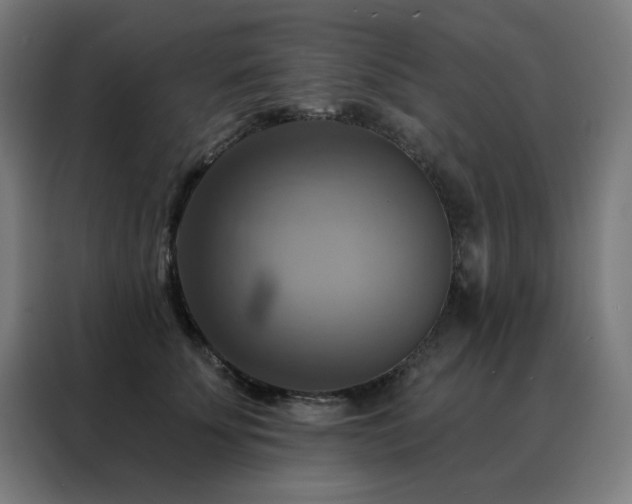 X0000088390707200705221114