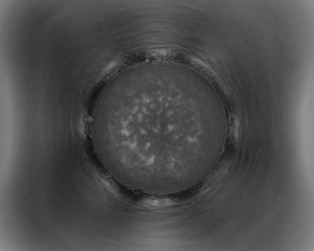 X0000088390712200705221114