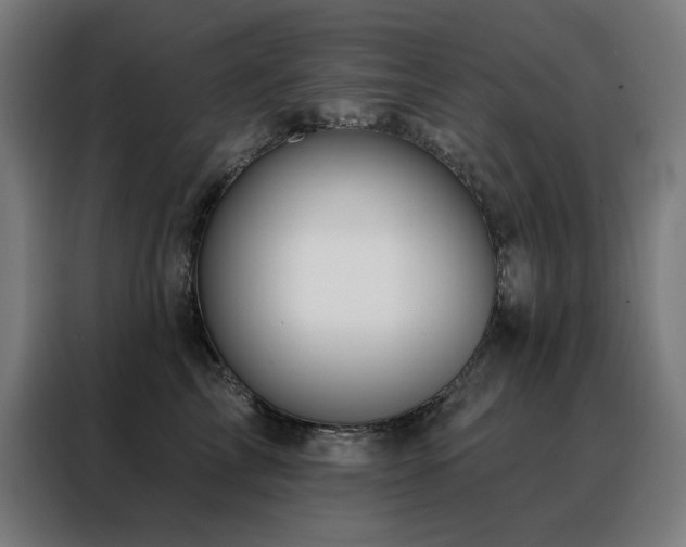 X0000088390713200705221114