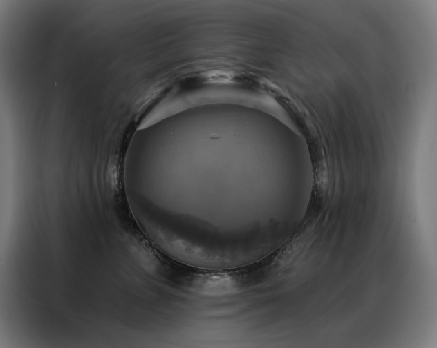 X0000088390715200705221114