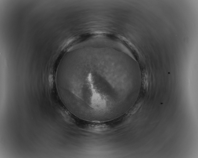 X0000088390716200705221114