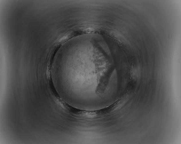 X0000088390719200705221114