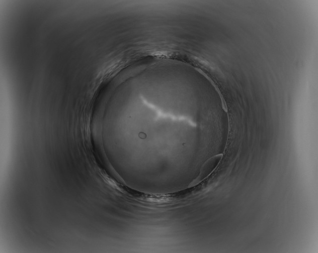 X0000088390720200705221114