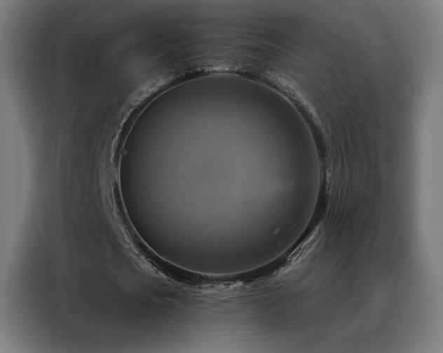 X0000088390721200705221113