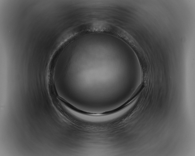 X0000088390722200705221113