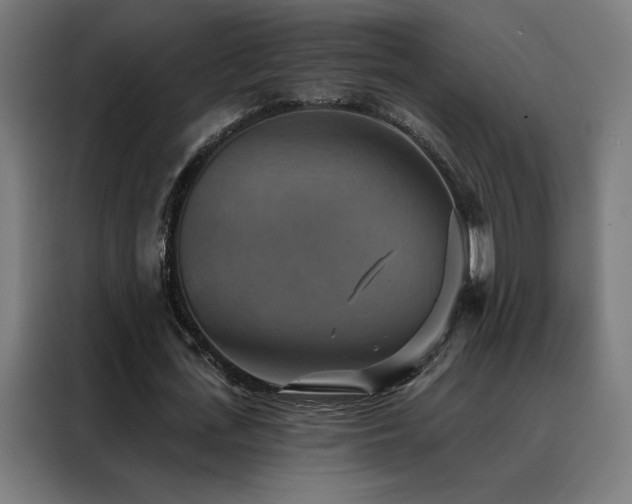 X0000088390723200705221113