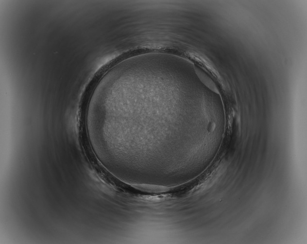 X0000088390724200705221113