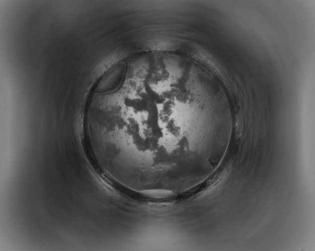 X0000088390725200705221114