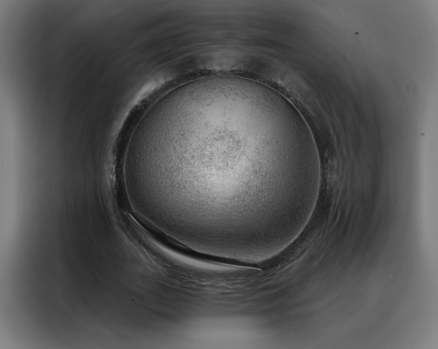 X0000088390727200705221114