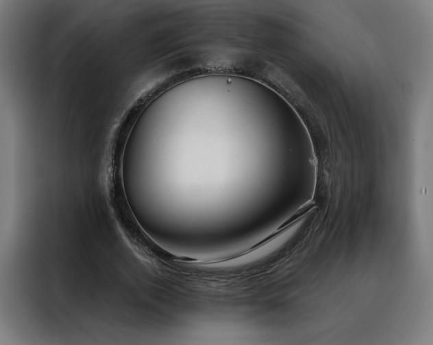 X0000088390728200705221114