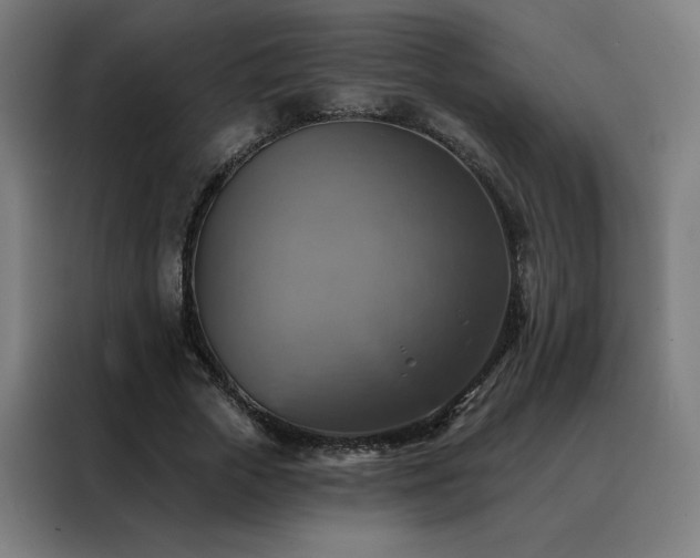 X0000088390729200705221114