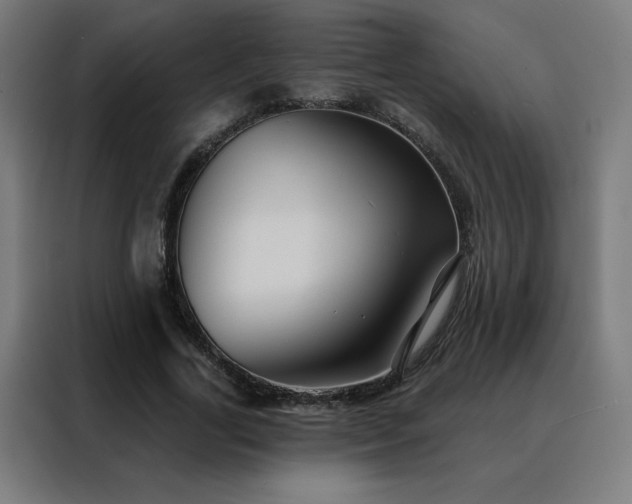 X0000088390731200705221114