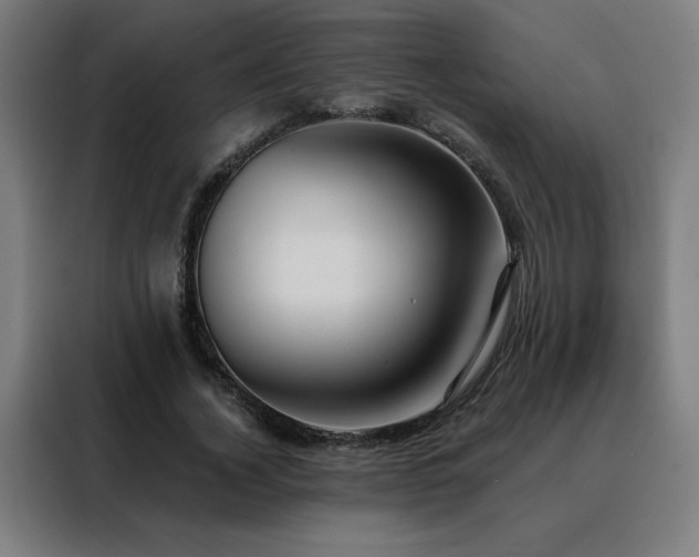 X0000088390732200705221114