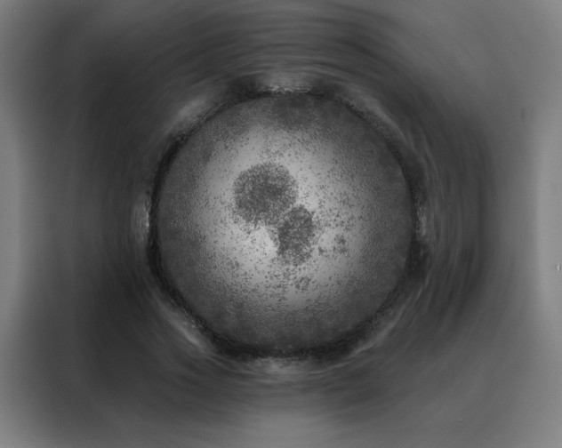 X0000088390733200705221114