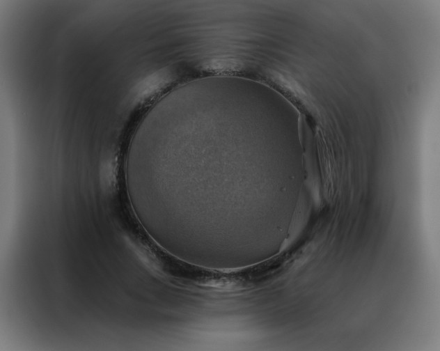 X0000088390735200705221114