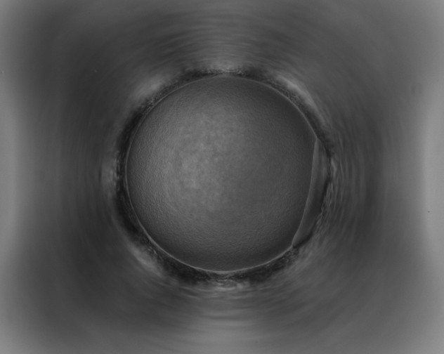 X0000088390736200705221114