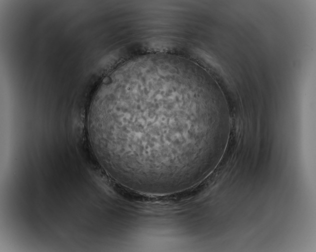 X0000088390737200705221114