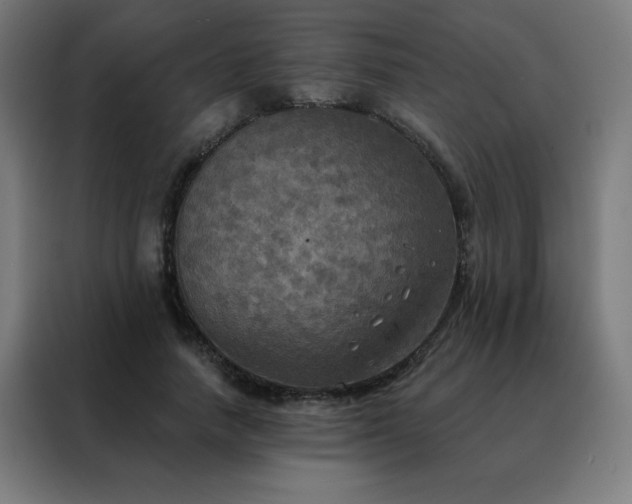 X0000088390738200705221114