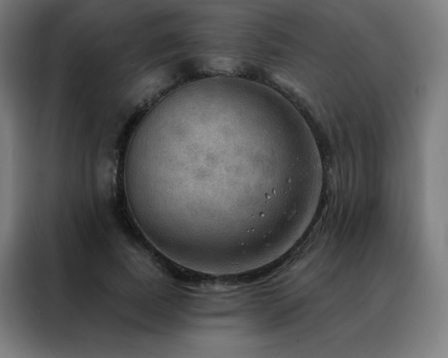 X0000088390739200705221114