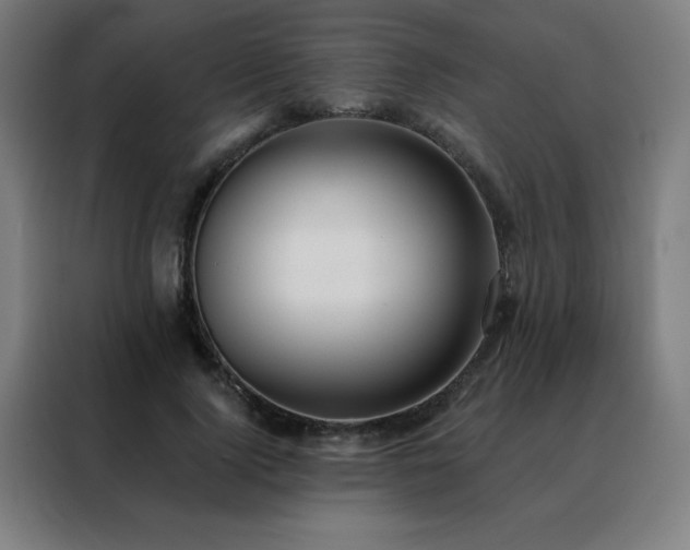 X0000088390740200705221114