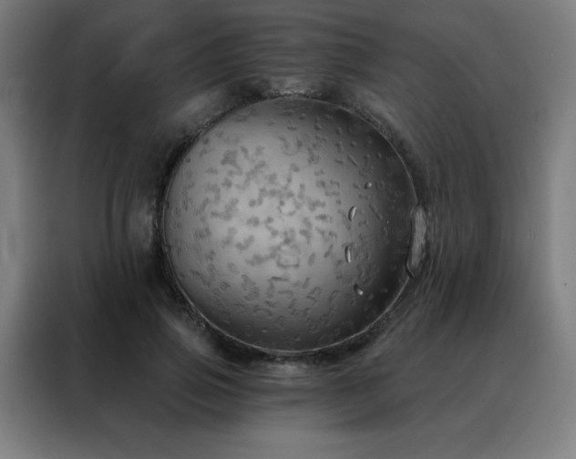 X0000088390741200705221114