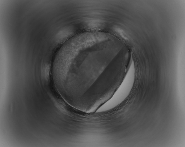 X0000088390742200705221114