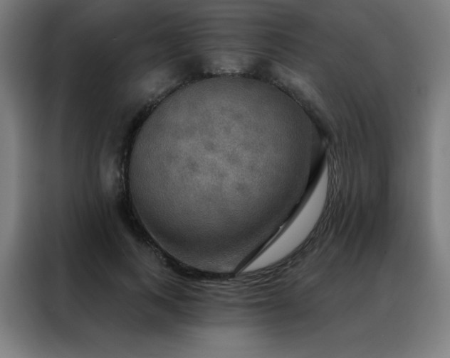 X0000088390743200705221114