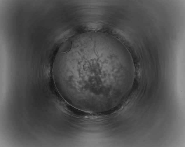 X0000088390745200705221114