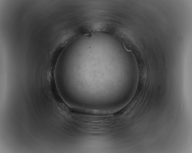 X0000088390746200705221114