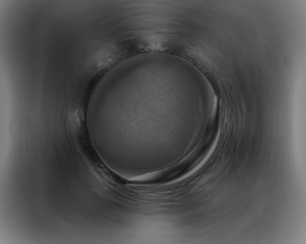 X0000088390747200705221114