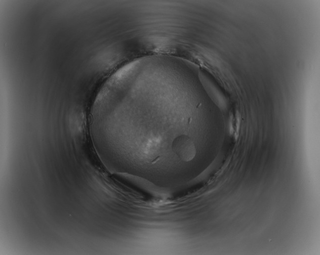 X0000088390748200705221114