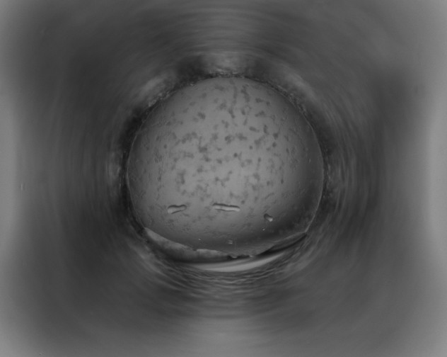 X0000088390749200705221114