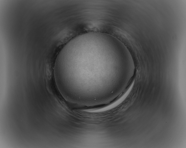 X0000088390751200705221114