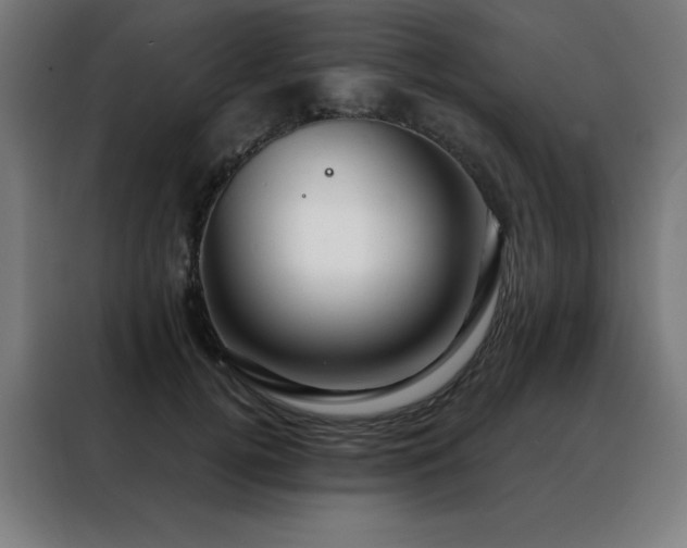 X0000088390752200705221114