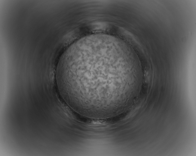 X0000088390753200705221114