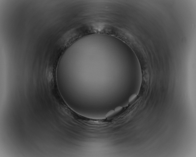 X0000088390754200705221114