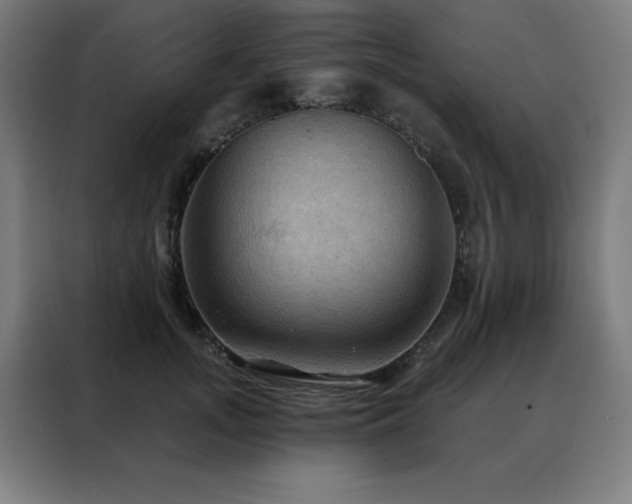 X0000088390755200705221114