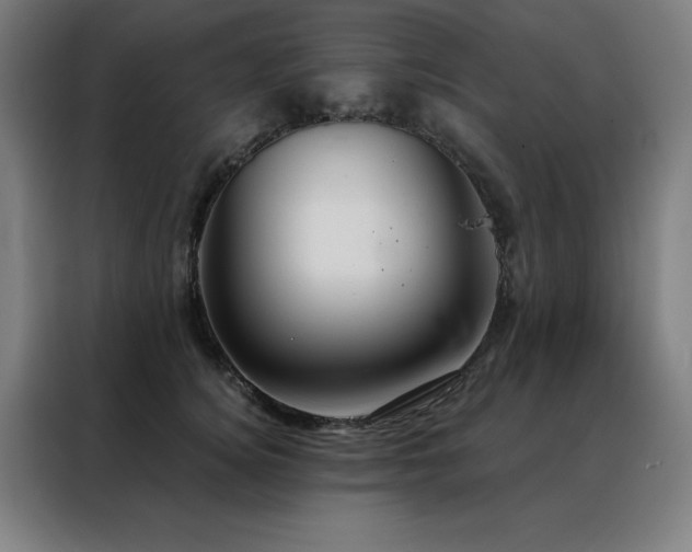 X0000088390756200705221114