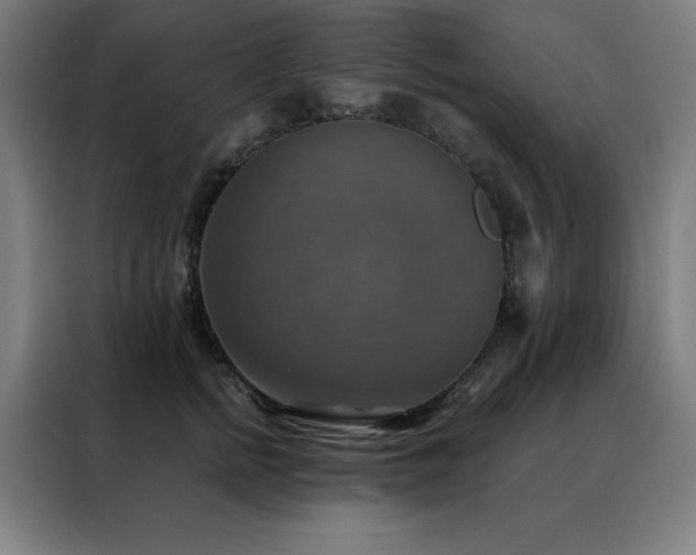 X0000088390758200705221114